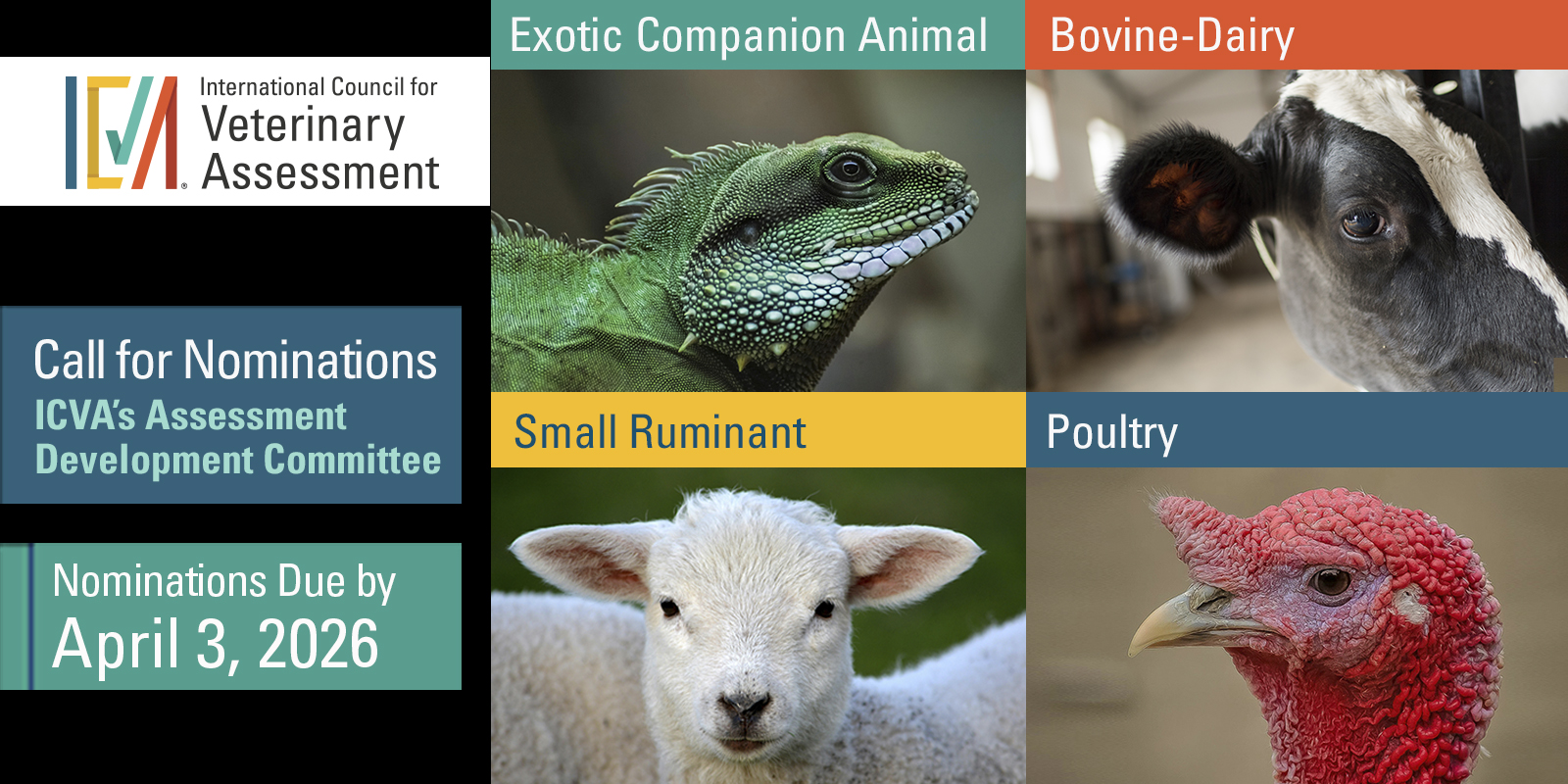 Assessment Development Committee Nominations are Open