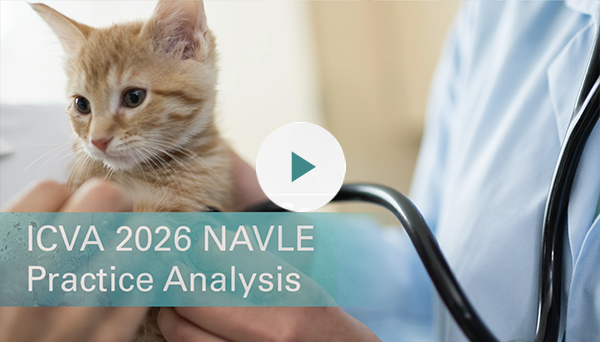 NAVLE Practice Analysis video